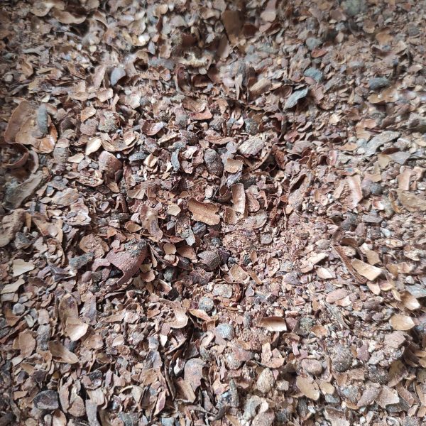 Kakaoschalen Mulch und Dünger ein sehr nährstoffreicher Dünger und dekorativer Mulch, den Sie im Garten, Gemüsebeet und für Topfpflanzen verwenden können.